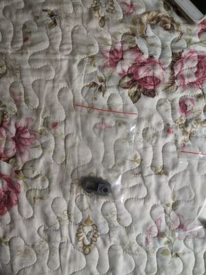 A032742-01 A032742 A229355 A236108 Tekanan Bushing untuk Noritsu QSS 27/29/30/31/32/33/35/37 Minilabs pemasok