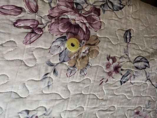 A058613 01 EJECTION ROLLER O CUT GIGI 24 UNTUK NORITSU Qss2901 3101 3201 3300 3401,3701 Minilab pemasok