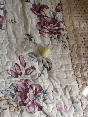 3550 02625A 355002625A 3550 02625 355002625 Konica R1 Minilab Spare Part Driver Gear pemasok